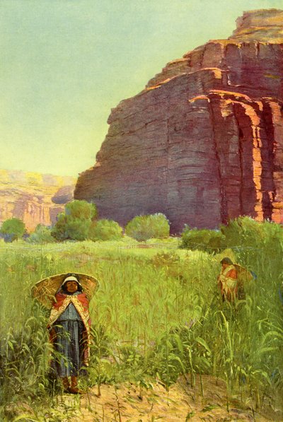 A Supai Cornfield - Cataract Canyon by Unbekannter Künstler