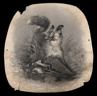 A Fox in Agony with Its Paw Caught in a Trap by Unbekannter Künstler