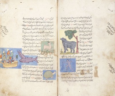 A page from the Persian manuscript "Aja