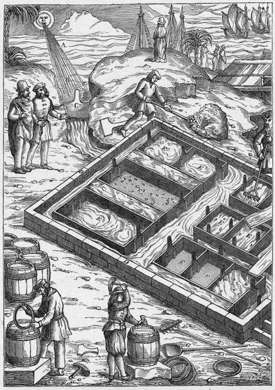 A Salt Marsh in the 16th Century by Unbekannter Künstler