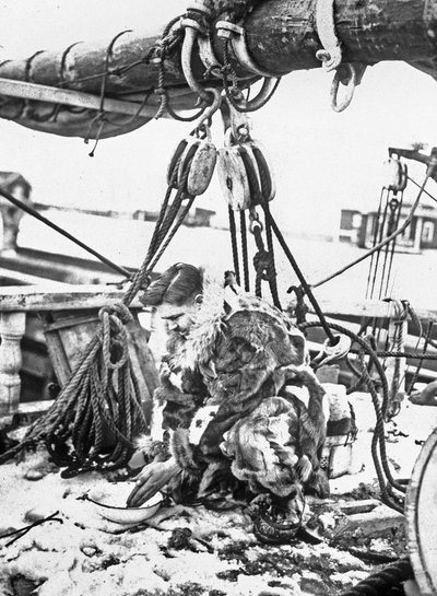 Admiral Robert Edwin Peary (1856-1920) American explorer of Arctic (north pole) here on the 