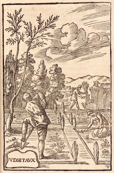 Agriculture: Farmers and Farm Workers Digging, Hoeing and Harvesting by Unbekannt