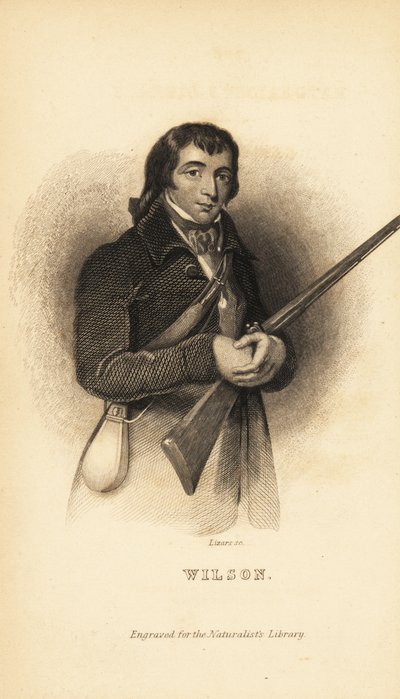 Alexander Wilson, Scottish American Ornithologist, Naturalist and Poet by Unbekannt
