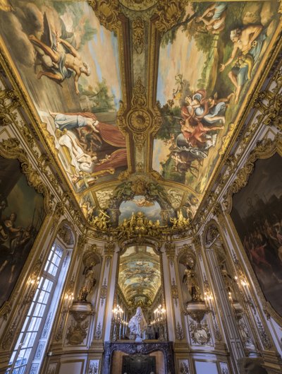 Allegory of Fire and Earth on the vault by Unbekannt