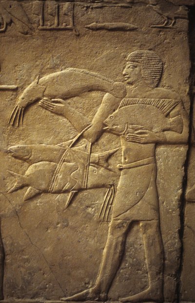Ancient Egypt: Saqqarah: necropolis of the Old Empire, tomb of noble. Detail of reliefs representing a fisherman by Leopold Blonder