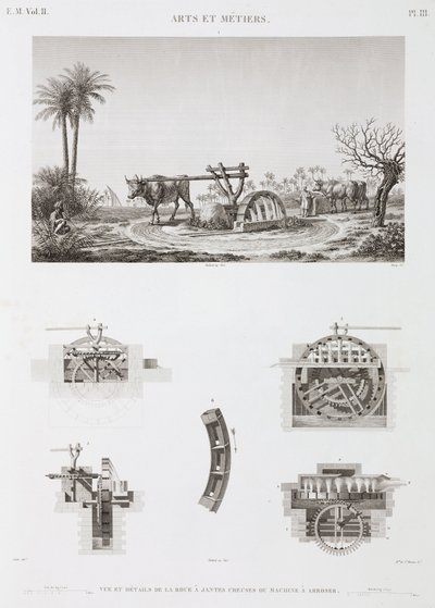 Animal-powered Irrigation, Egypt, c.1798 by Unbekannt