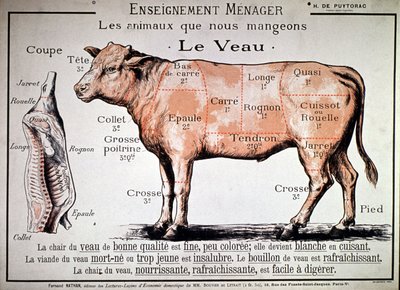 Animals That We Eat: The Calf, c. 1910 by Unbekannter Künstler