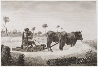 Threshing Machine, Egypt, c. 1798 by Unbekannt
