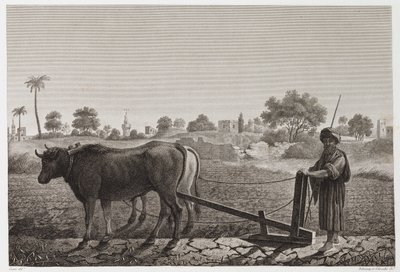 Arable Farming, Ploughing Ploughing with oxen, Egypt, c 1798 by Unbekannt