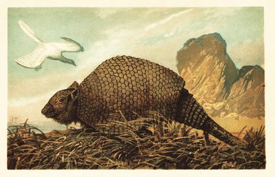 Archaeopteryx lithographica and Panochthus tuberculatus (lithograph) by Unbekannter Künstler