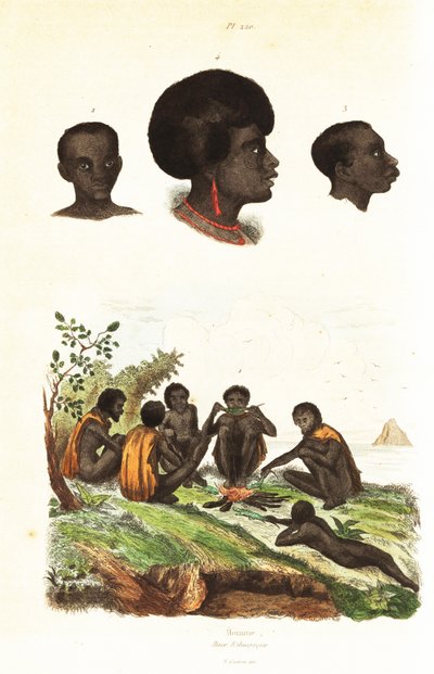 Australian Aborigines and Heads of Natives of Waigeo, West Papua by Unbekannter Künstler