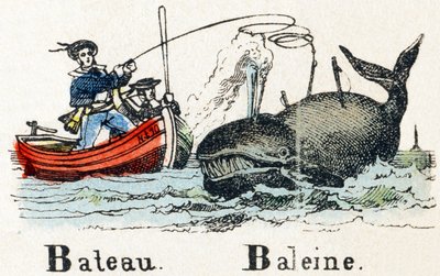B - Boat Whale - Alphabet - Children