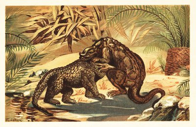 Battle Between a Megalosaurus and Iguanodon by Unbekannter Künstler