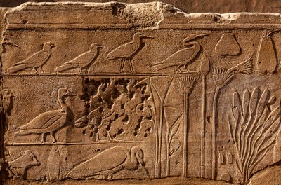 Botanical Garden of Thutmosis III with Relief Depictions of Plants and Animals, Karnak Temple, Luxor, Thebes, Egypt by Unbekannter Künstler