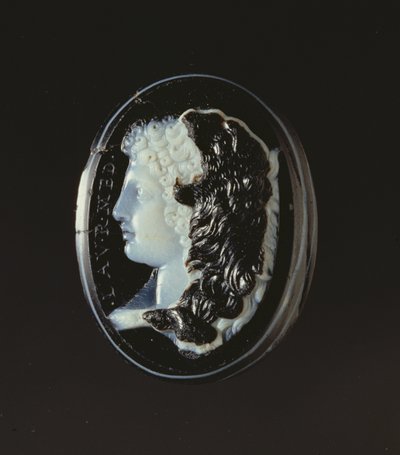 Cameo of the Head of Hercules by Unbekannt