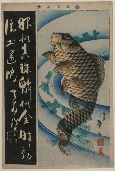 Carp and Waterweeds by Unbekannt