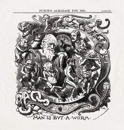 Cartoon on the Theory of Evolution by Charles Darwin: 
