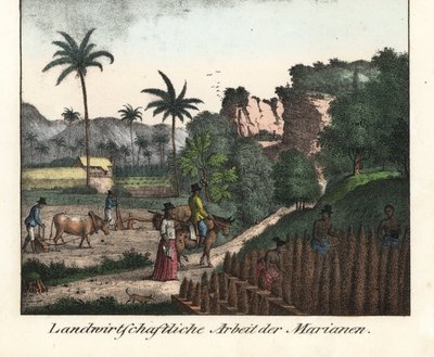 Chamarro farmers plowing a field and carving rows of plantations in the Mariana Archipelago (USA). Illustration from Voyage Around the World (1824) by Louis de Freycinet (1779-1842). Lithography for the book: “Galerie complete en tableaux fideles des peupl by Unbekannter Künstler