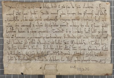 Charter of Walter, Prior of St Andrews by Unbekannt