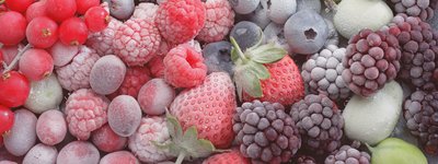 Chilled Berries by Unbekannter Künstler