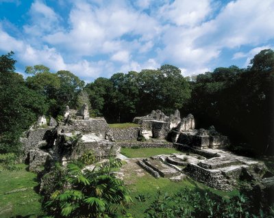 Pre-Columbian Civilization: View of the Maya Site of Uaxactun (Group A) by Alec Hunter