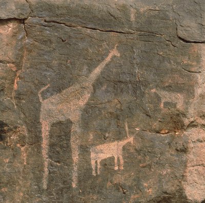 Close-up of Prehistoric Paintings, Tenere Desert, Niger by Benjamin Baud