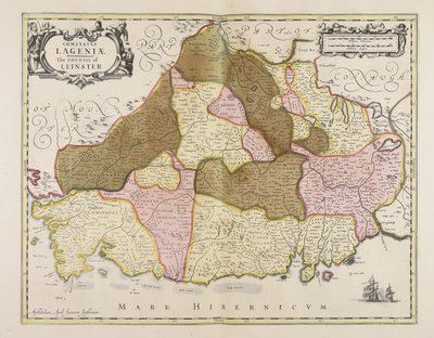 The County of Leinster by Unbekannter Künstler