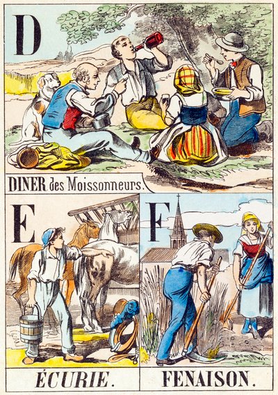 D E F: Diner des Moissonneurs, Ecurie, Fenaison - 