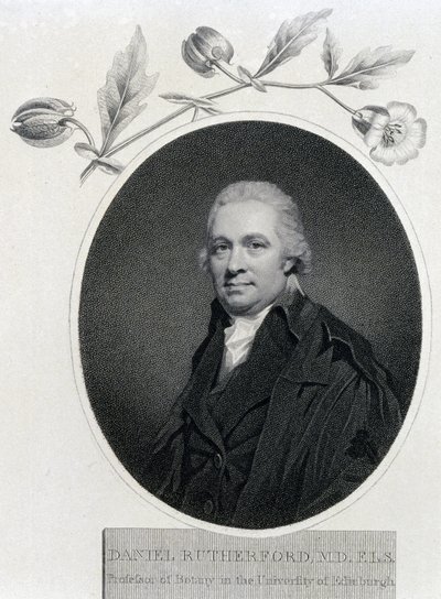 Daniel Rutherford, Scottish chemist and botanist, early 19th century by Unbekannt