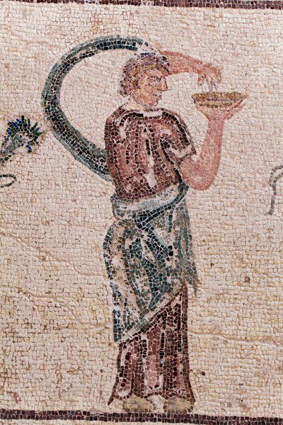The Triumph of Dionysos - Return of the god from a military expedition to India - A Baccante holding a libation bowl - Paphos mosaics, House of Dionysos, End of the 2nd Century AD - Cyprus - (detail) by William M. Timlin