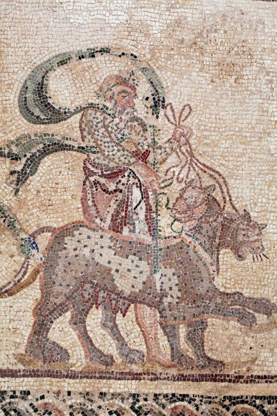The Triumph of Dionysos - Return of the god from a military expedition to India - Silenus holding the reins of the Panthers - Paphos mosaics, House of Dionysos, End of the 2nd Century AD - Cyprus - (detail) by William M. Timlin