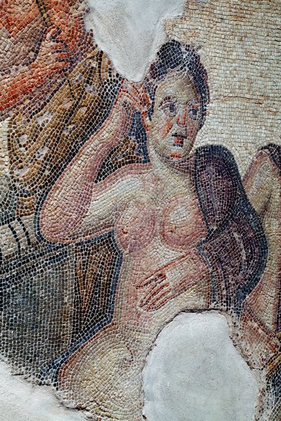 (detail) Panel showing Leda, queen of Sparta, in the company of the lacedaemonian girls, being about to take a bath in the Eurotas river - She is being approached by Zeus disguised as a swan - Paphos Mosaics, House of Aion, 3rd Century AD - Cyprus by Unbekannter Künstler