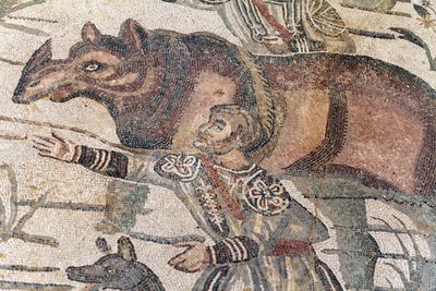 Detail of the great hunt mosaic. A rhinoceros is being led onto a boat to be transported to the nearest port. 3rd - 4th century. Roman Villa of the Casale, Sicily. UNESCO site. by William M. Timlin