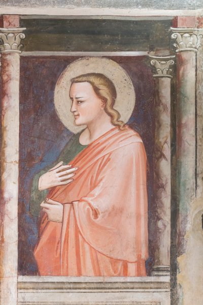 Display in the vaults of the cathedral museum of Prato, Italy by Unbekannter Künstler