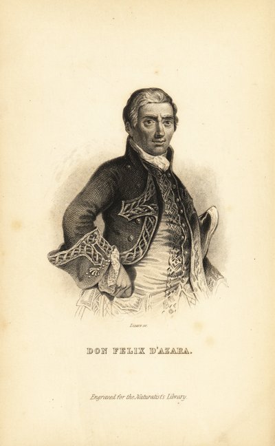 Don Felix d