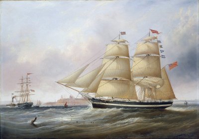 Double portrait of the boat 