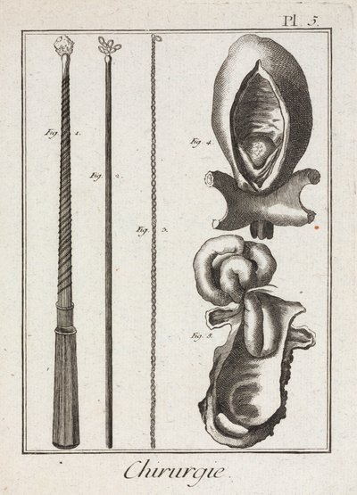 Early-Modern Surgical Instruments and Diagrams of Body Parts by Unbekannt