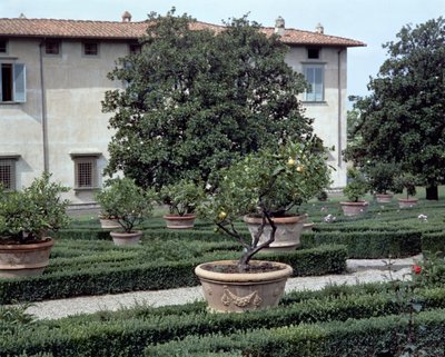 Exterior View of the Villa Medicea di Castello and Garden by Unbekannt