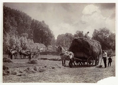 Farming Scenes, Harvesting & Storage, Pre-1900 Haymaking, c 1890 by Unbekannt