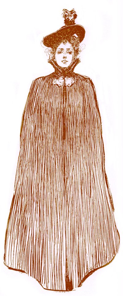Fashion for American woman in late 19th century by Unbekannter Künstler
