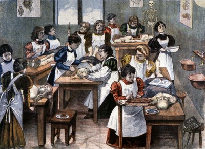Female students at a dissection lesson in New York by Unbekannter Künstler