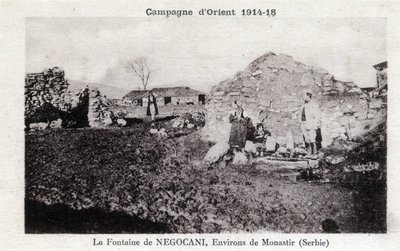 Negocani Fountain in Serbia by William M. Timlin