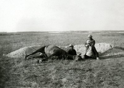 First World War 14-18 (1914-1918): three French soldiers bury a dead horse by Unbekannter Künstler