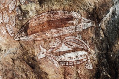 Fish, Rock Painting, Arnhem Land, Northern Territory, Australia, Aboriginal Culture by Benjamin Baud
