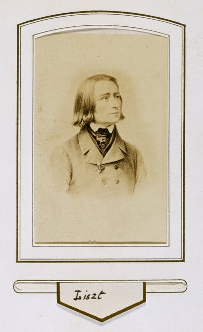 Franz Liszt when young by Unbekannter Künstler
