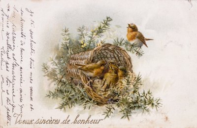 French Greeting Card with Robin and Nest Elements by Unbekannter Künstler
