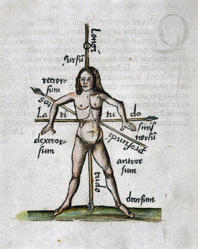 Geography 16th Century: Human Figure Representing Longitudes and Latitudes, His Body Traversed by Lances Oriented According to the Angles of Imaginary Lines by Unbekannt