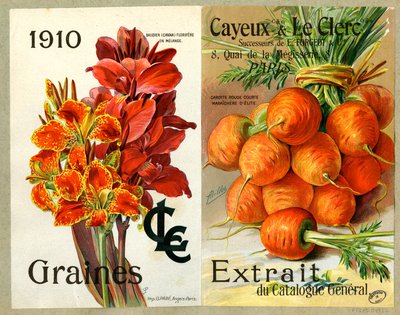 Seeds by Unbekannter Künstler