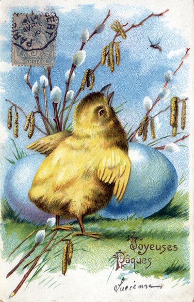 Greeting Card for Easter: a chick and eggs by Unbekannt