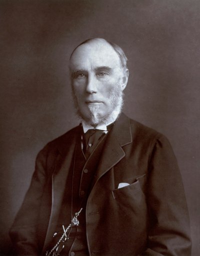 Half-length portrait of the Viceroy of the Indies Thomas Baring Count of Northbrook by Unbekannter Künstler